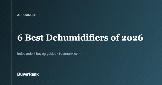The 6 Best Dehumidifiers of 2026
