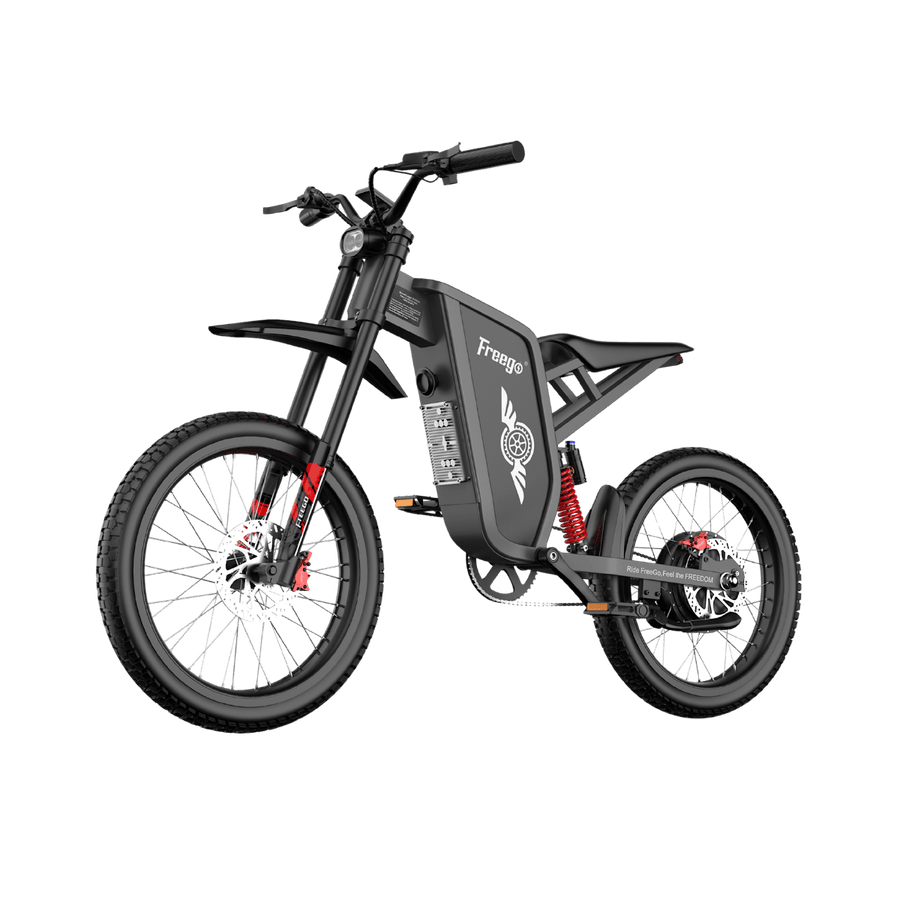 Freego X1 SE all terrain electric bike