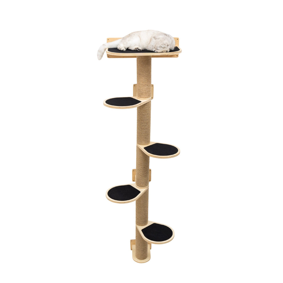 Large light wood cat tree with several platforms and a covered box