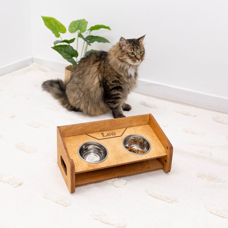 Angled wooden pet bowl stand holding two bowls
