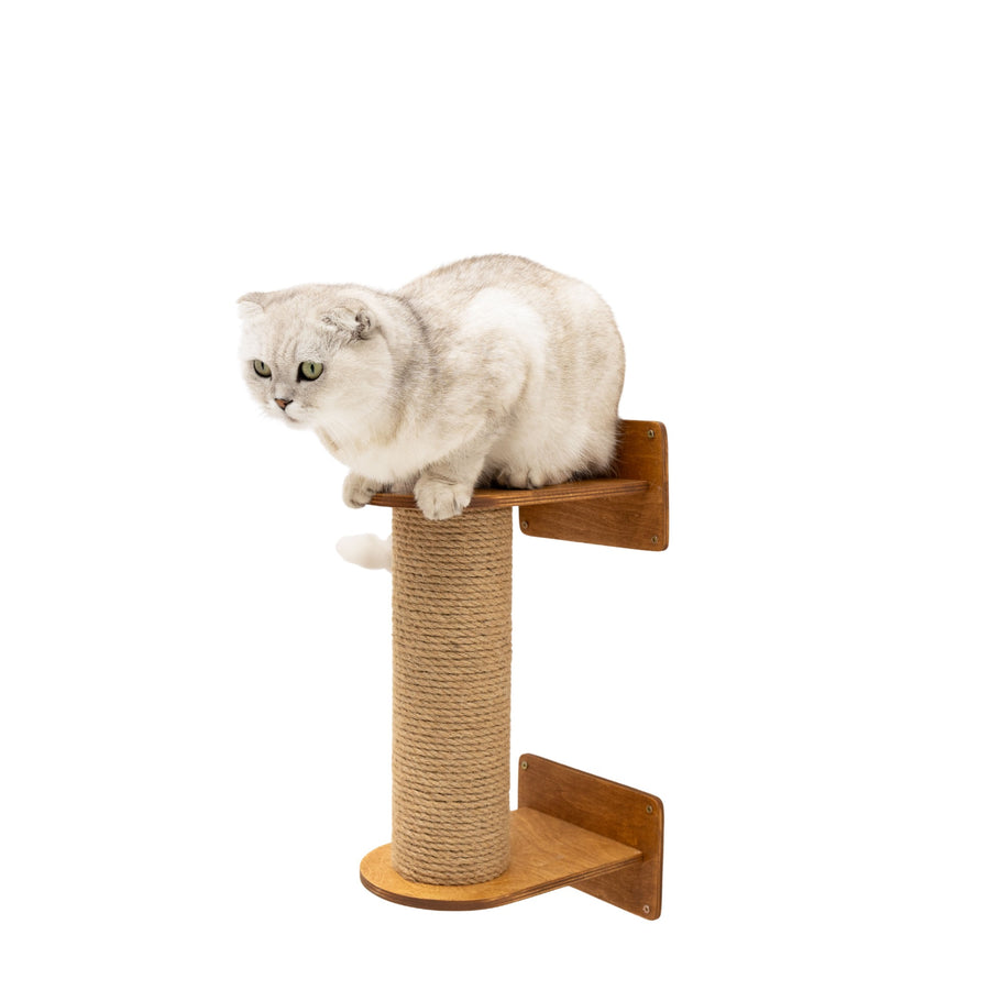 Small oak cat tree sized for compact rooms
