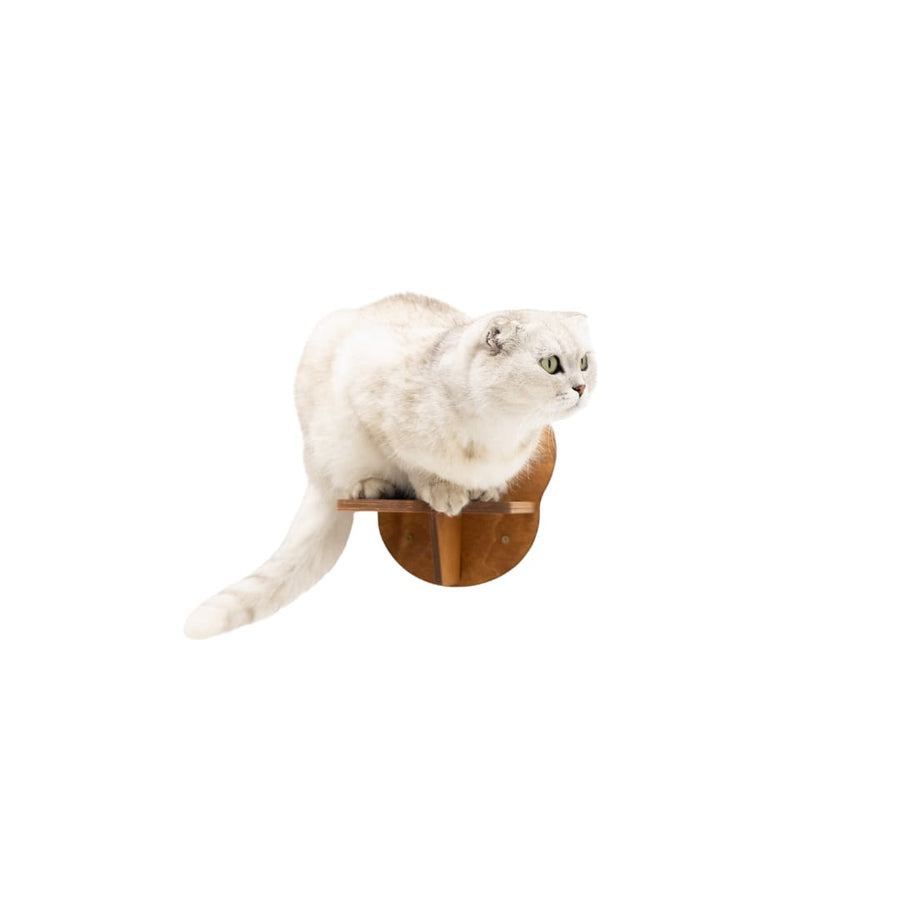 Oak wall mounted cat step shelf